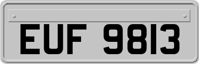 EUF9813