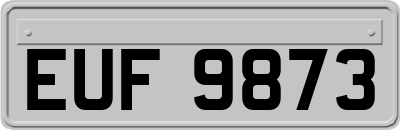 EUF9873