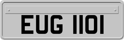 EUG1101