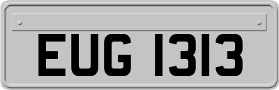 EUG1313