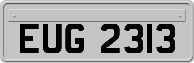 EUG2313