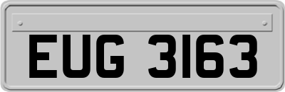 EUG3163