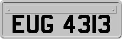 EUG4313