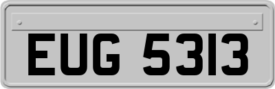 EUG5313