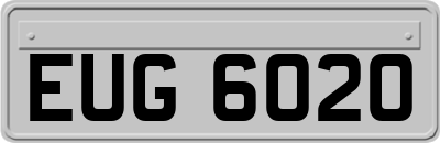 EUG6020