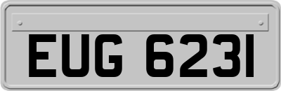 EUG6231