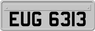 EUG6313