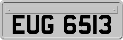 EUG6513