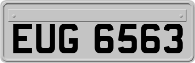 EUG6563