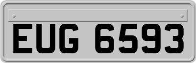 EUG6593