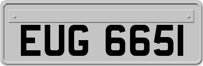 EUG6651