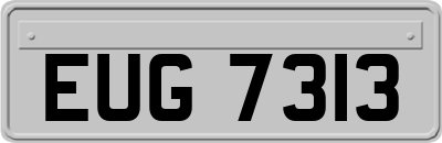 EUG7313