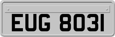 EUG8031