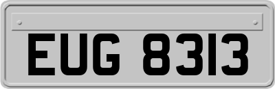 EUG8313