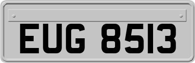 EUG8513