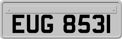 EUG8531