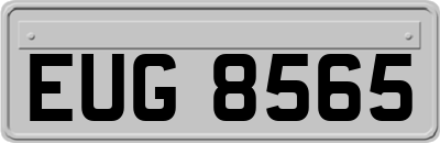 EUG8565