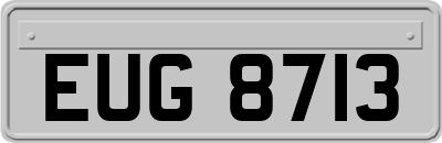 EUG8713