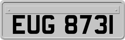 EUG8731