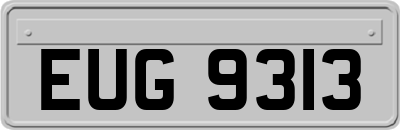 EUG9313