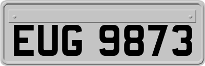 EUG9873