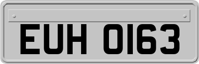 EUH0163