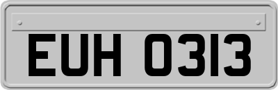 EUH0313