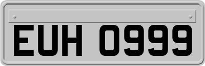 EUH0999