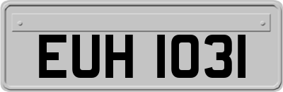 EUH1031