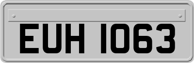 EUH1063
