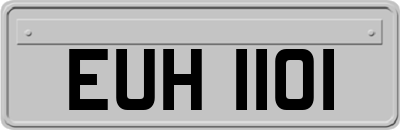 EUH1101