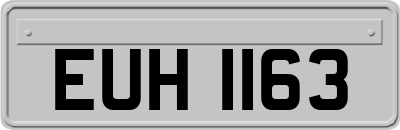 EUH1163
