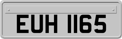 EUH1165
