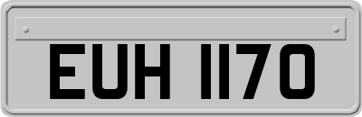 EUH1170