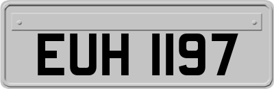 EUH1197