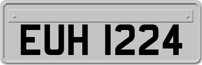 EUH1224