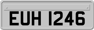 EUH1246