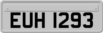 EUH1293