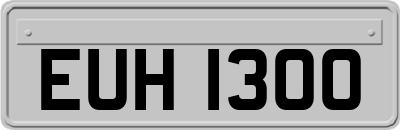 EUH1300