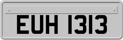 EUH1313