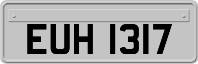 EUH1317