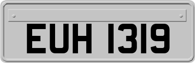 EUH1319