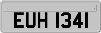 EUH1341