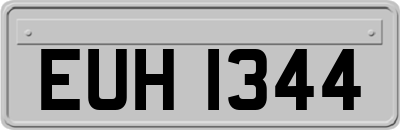 EUH1344