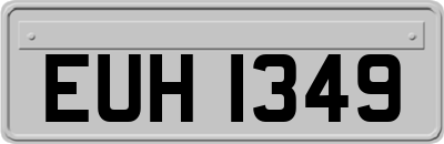 EUH1349