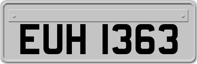 EUH1363