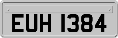 EUH1384