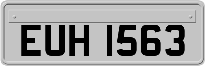 EUH1563