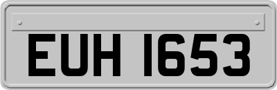 EUH1653