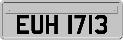 EUH1713